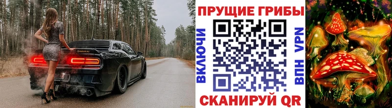 дарнет шоп  Енисейск  Галлюциногенные грибы Psilocybe 